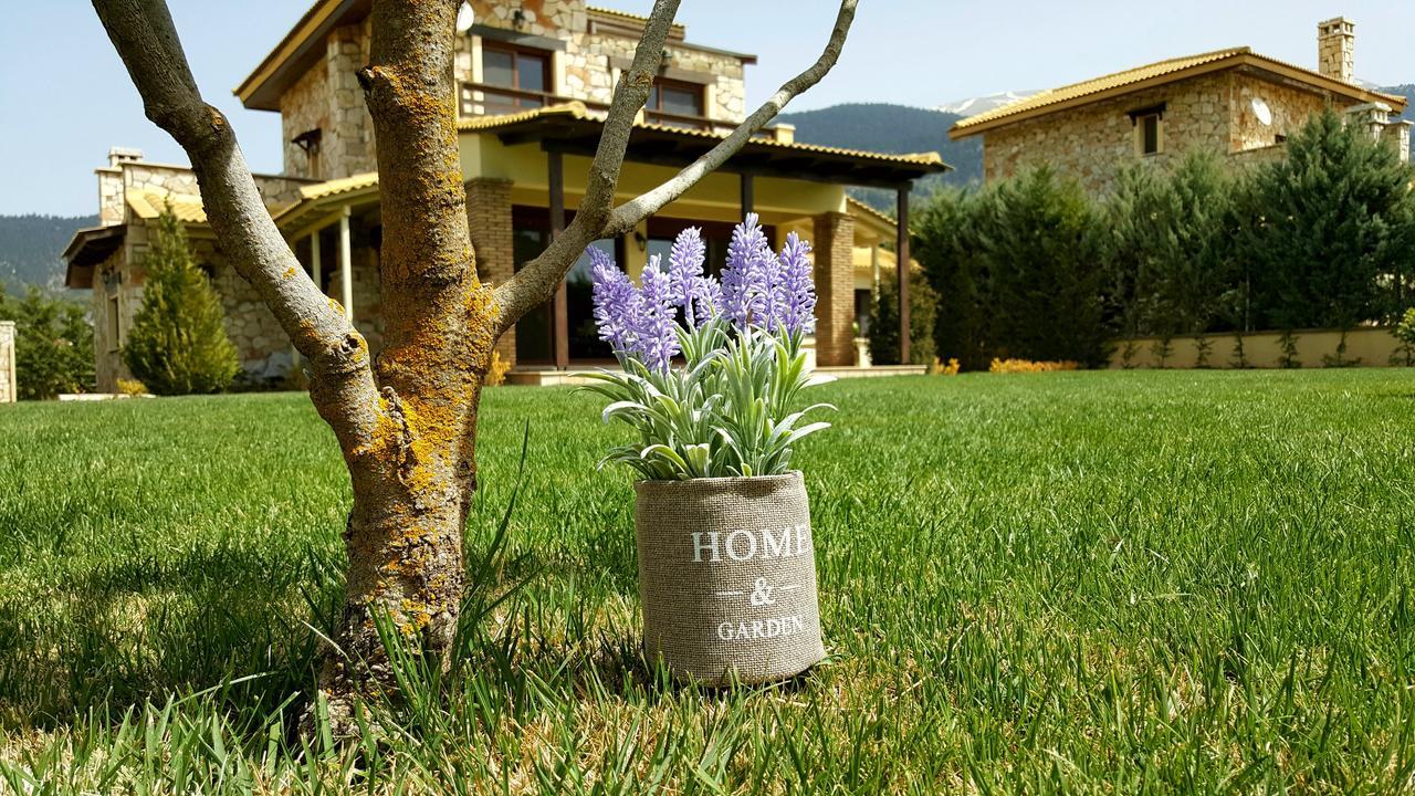 Mountain Chalet Livadi Αράχωβα Εξωτερικό φωτογραφία