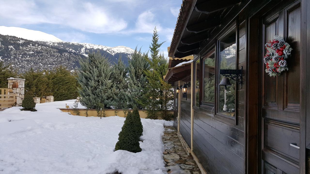 Mountain Chalet Livadi Αράχωβα Εξωτερικό φωτογραφία