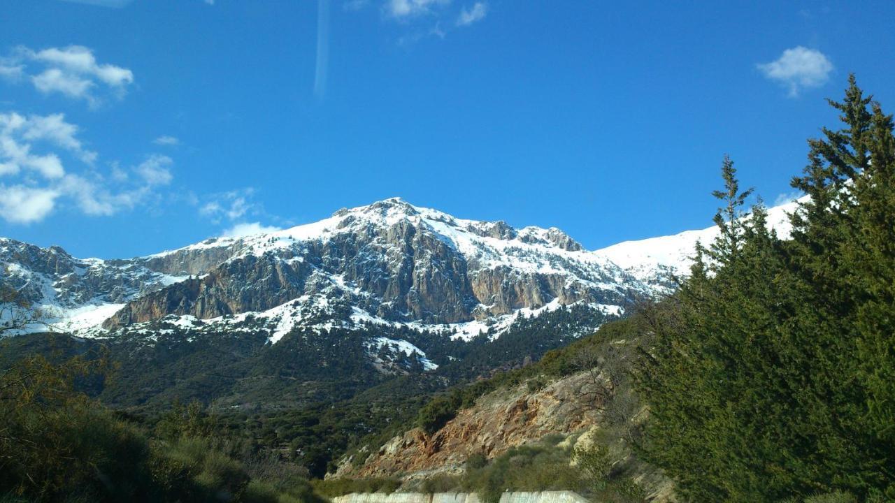 Mountain Chalet Livadi Αράχωβα Εξωτερικό φωτογραφία
